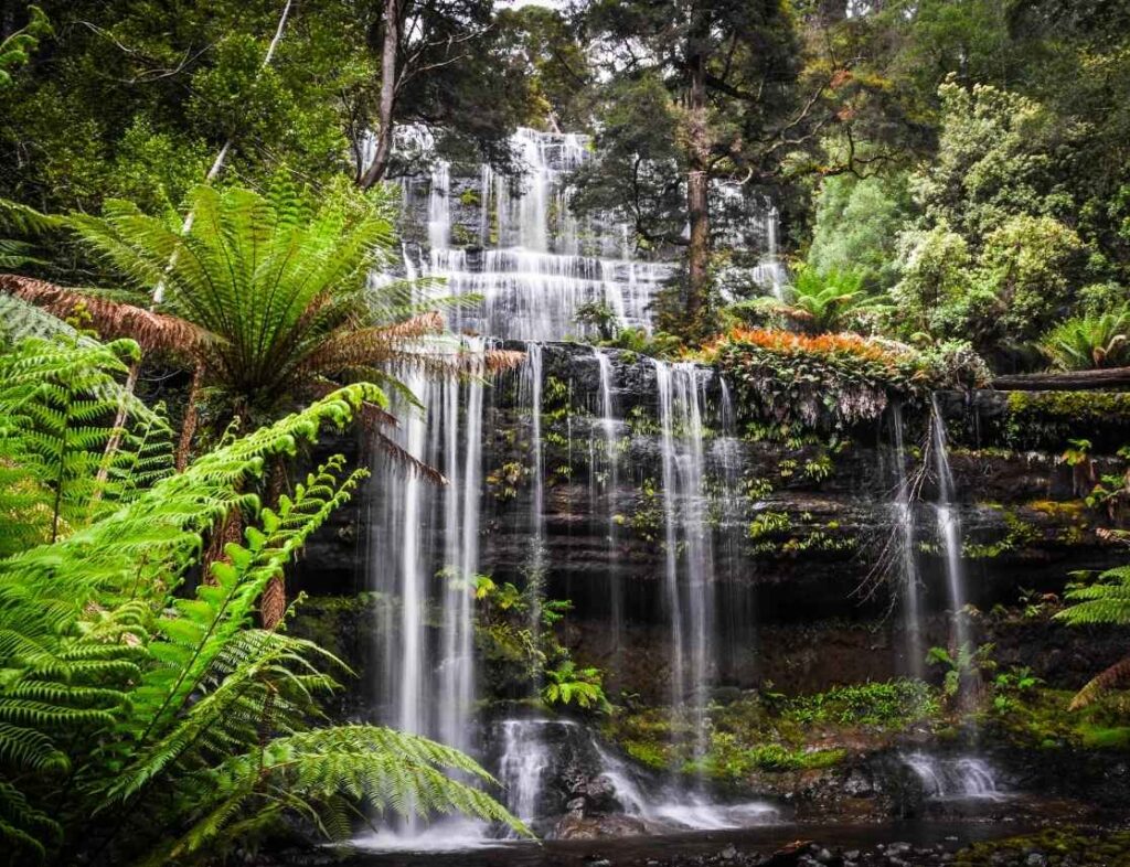 10 days australia tour package