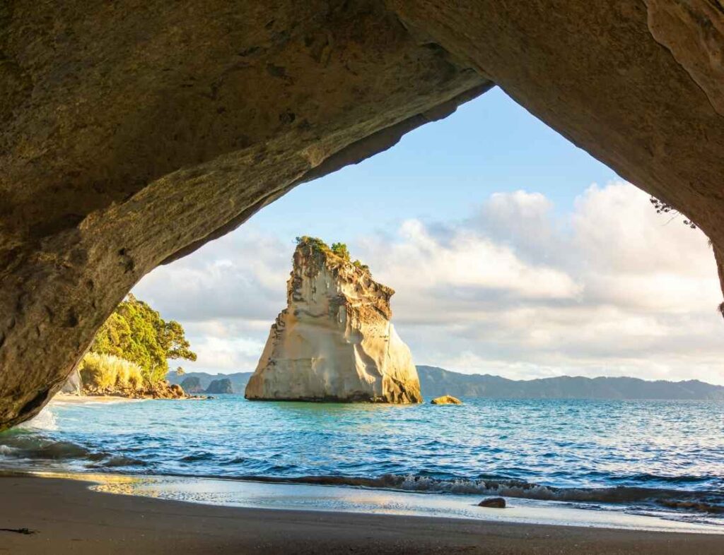 10 days new zealand tour package