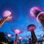 Singapore Tour Packages