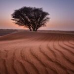 Africa-Middle East Tour Packages