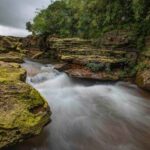 East India tour packages