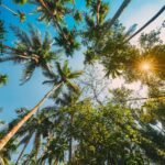 South India Tour Packages