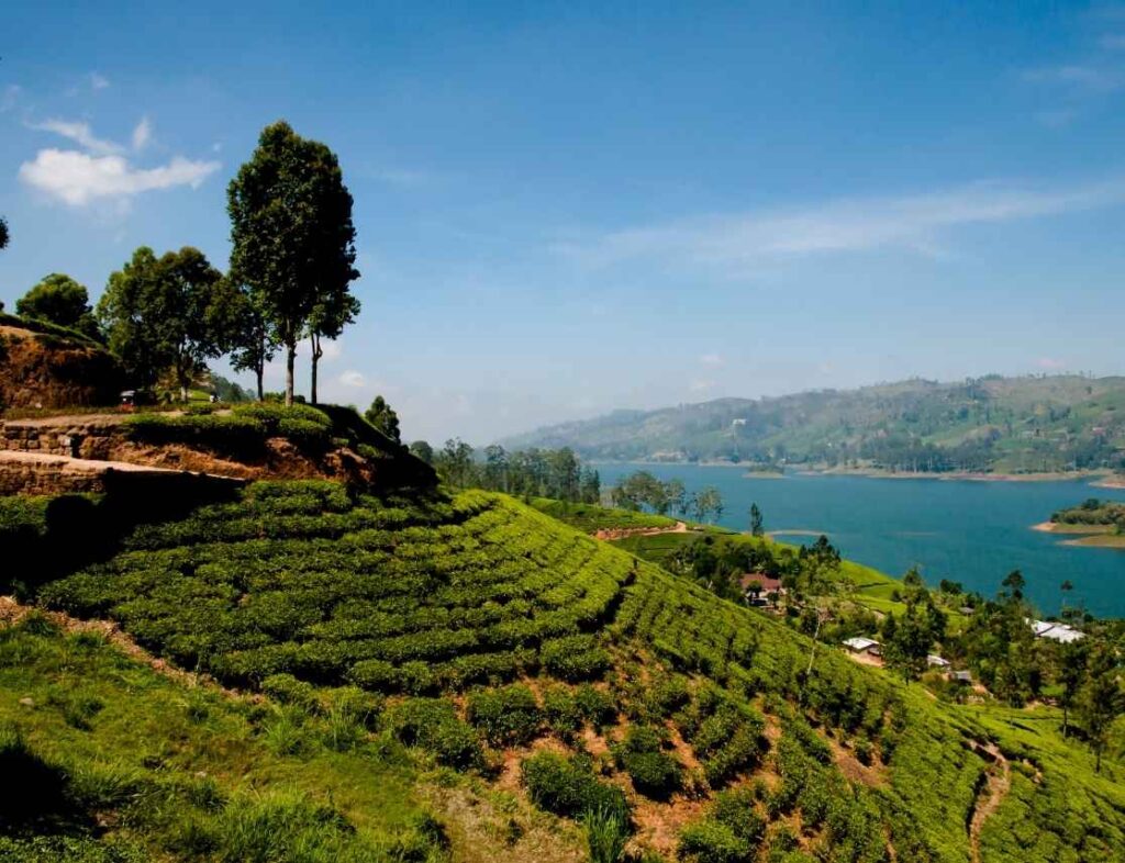 11 days south india holiday package