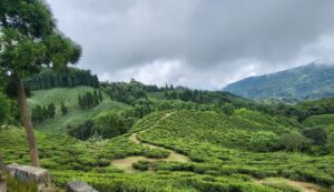 Darjeeling Sikkim Holiday Package