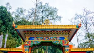 Sikkim Tours and Travels – Peaceful Himalayan Journeys with D’Organizers