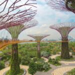 Singapore tour packages