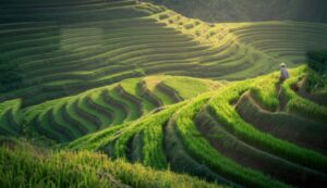 8 Days Vietnam tour package