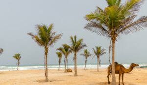 8 Days 7 Nights Oman tour package 