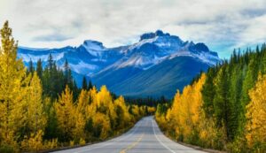 8 Days Canada tour package