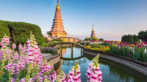 What Is the Best Tour Company for Thailand? A Complete Guide by D’Organizers
