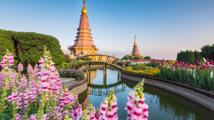 What Is the Best Tour Company for Thailand? A Complete Guide by D’Organizers