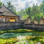 Best Bali Tour Operator
