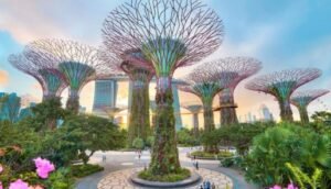 Singapore 7 days trip cost from India
