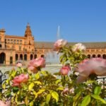 Spain trip cost from India